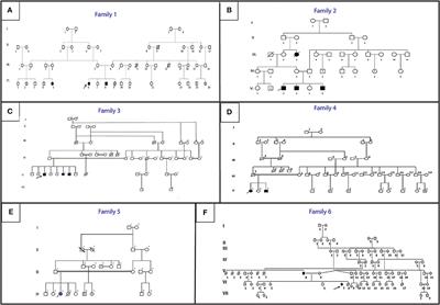 Clinical and Genetic Heterogeneity in Six Tunisian Families With Horizontal Gaze Palsy With Progressive Scoliosis: A Retrospective Study of 13 Cases
